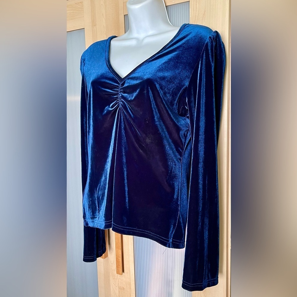 NWT❣️ Velvet V Neck Long Sleeve Top M - Picture 3 of 6